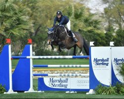 jumper Botero (KWPN (Royal Dutch Sporthorse), 2010, from Berlin)