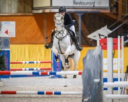 jumper Ravenna 396 (Hanoverian, 2010, from Hengst von Rascalino / De Niro)