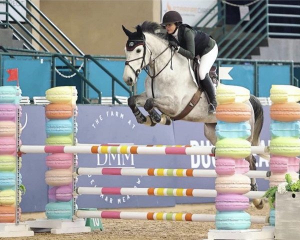 broodmare Cassalita (Oldenburg show jumper, 2017, from Casallco)