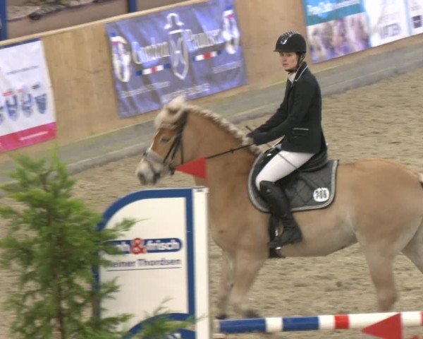 Reitturnier Großenwiehe 2024
