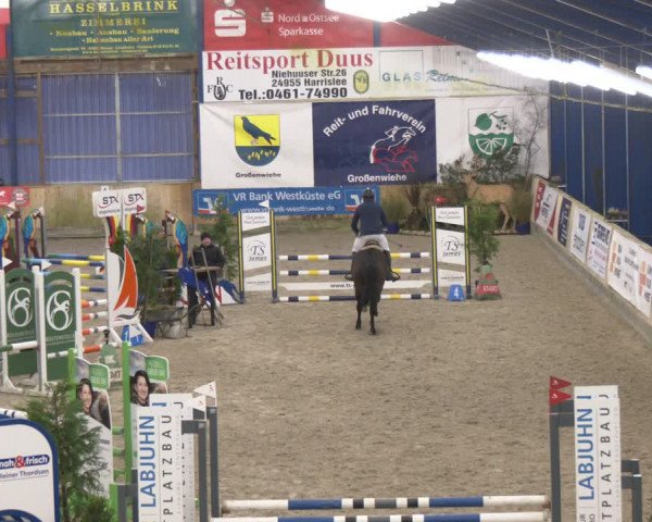 Reitturnier Großenwiehe 2024