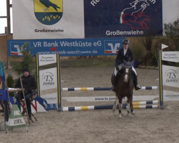 Reitturnier Großenwiehe 2024