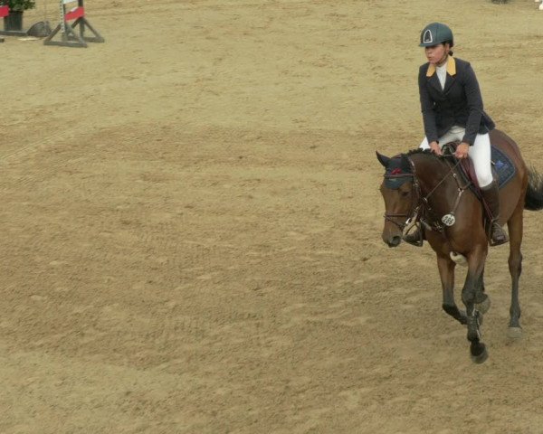 Reitturnier Böblingen 2021