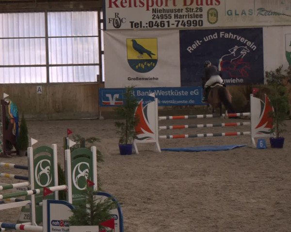 Reitturnier Großenwiehe 2024
