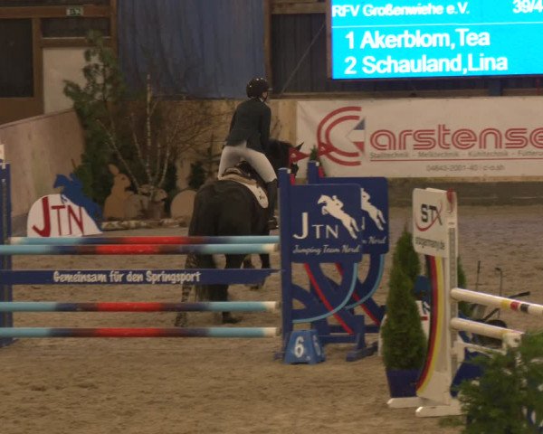 Reitturnier Großenwiehe 2024