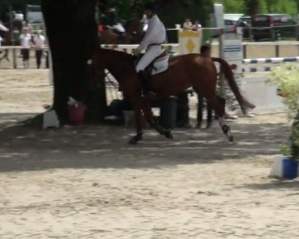 Dorsten 2011