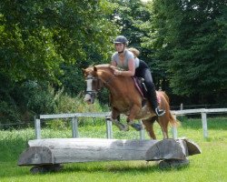 jumper Pinkus 23 (German Riding Pony, 1995)