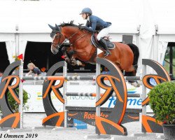 Springpferd Ferdinand W (KWPN (Niederländisches Warmblut), 2010, von Carthino Z)