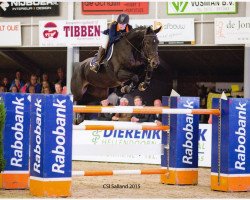 jumper Darville (KWPN (Royal Dutch Sporthorse), 2008, from Quasimodo Z)