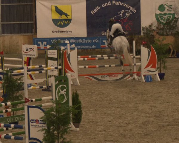 Reitturnier Großenwiehe 2024