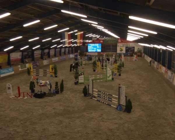 Reitturnier Großenwiehe 2024