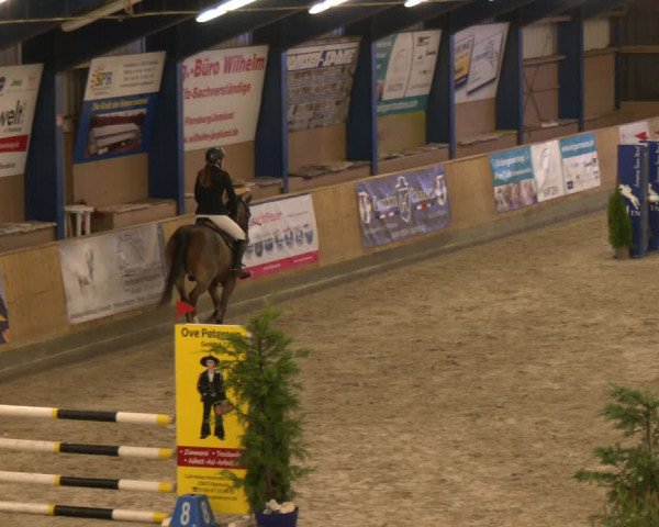 Reitturnier Großenwiehe 2024