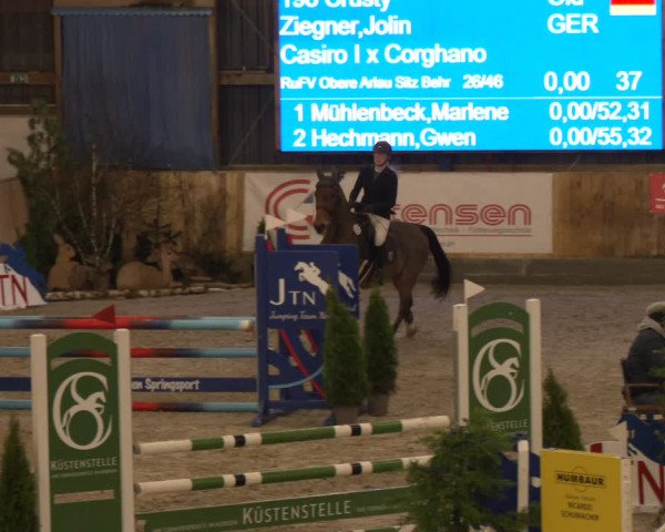 Reitturnier Großenwiehe 2024