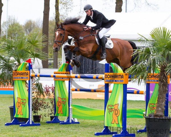 jumper Quidor Rose (Nederlands Rijpaarden en Pony, 2007, from Quasimodo Z)