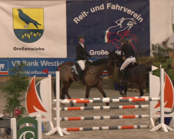 Reitturnier Großenwiehe 2024