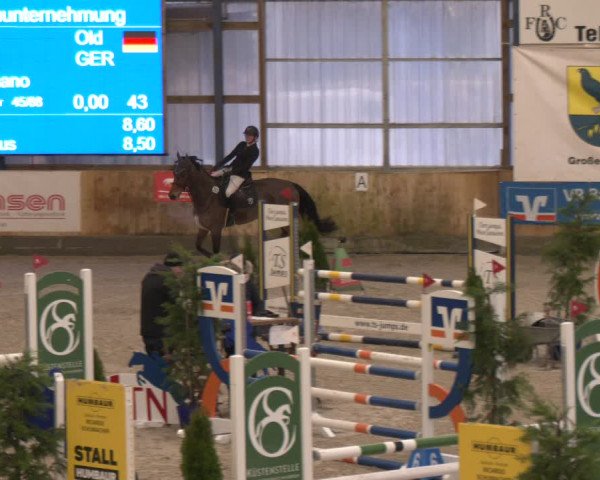 Reitturnier Großenwiehe 2024