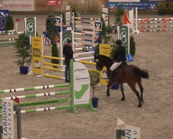 Reitturnier Großenwiehe 2024
