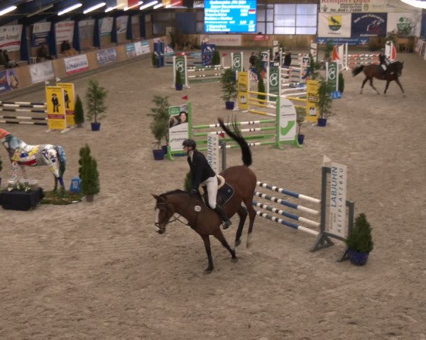Reitturnier Großenwiehe 2024