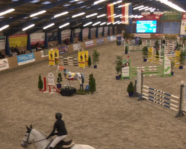 Reitturnier Großenwiehe 2024