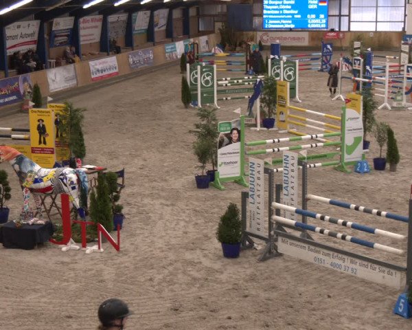 Reitturnier Großenwiehe 2024