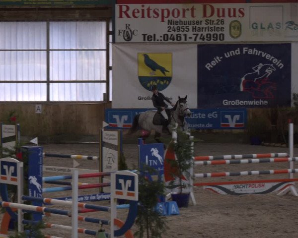 Reitturnier Großenwiehe 2024
