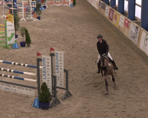 Reitturnier Großenwiehe 2024