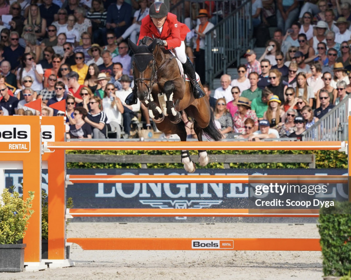 Springpferd A-Girl (Schwedisches Warmblut, 2010, von A-Dur I)