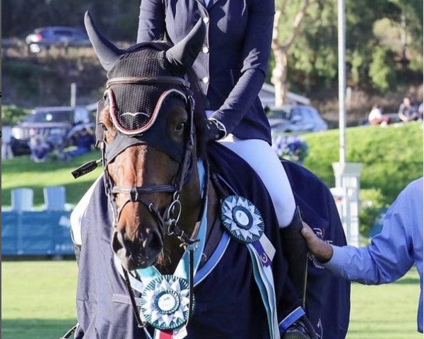 jumper Unchained 2 (Holsteiner, 2014, from Uriko)