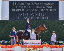 Springpferd Classic Verte (KWPN (Niederländisches Warmblut), 2007, von Ticalluc Verte)