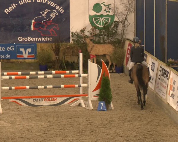 Reitturnier Großenwiehe 2024