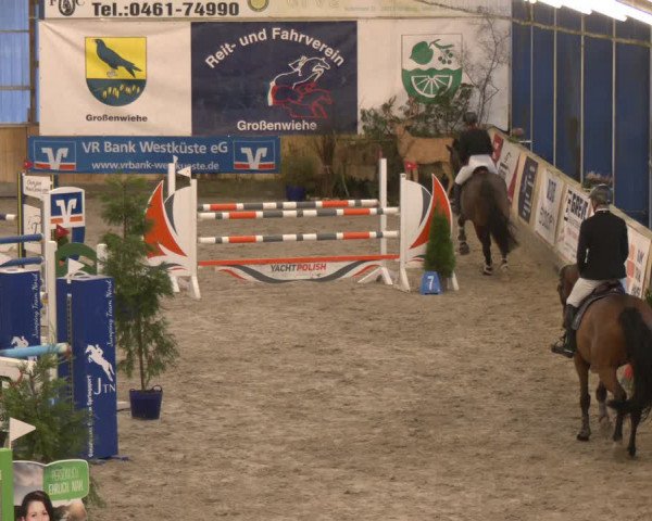 Reitturnier Großenwiehe 2024