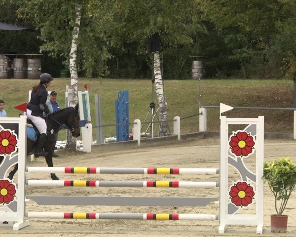 Reitturnier Forst 2021