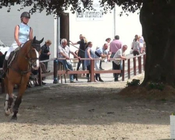 Dorsten 2011