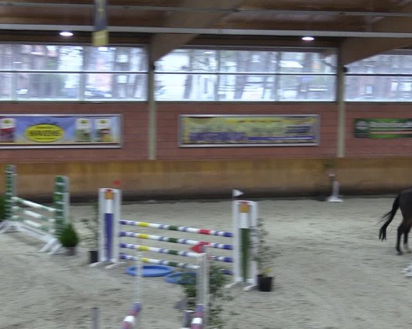Reitturnier Mönchengladbach - Schloss Wickrath 2024