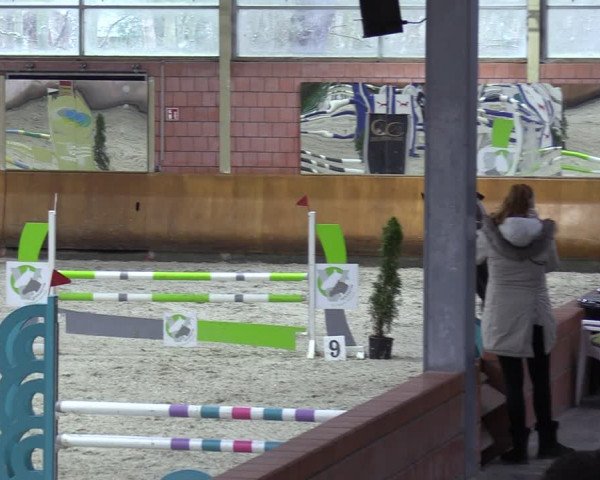 Reitturnier Mönchengladbach - Schloss Wickrath 2024