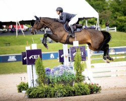 jumper Forever Alve (KWPN (Royal Dutch Sporthorse), 2010, from Numero Uno)