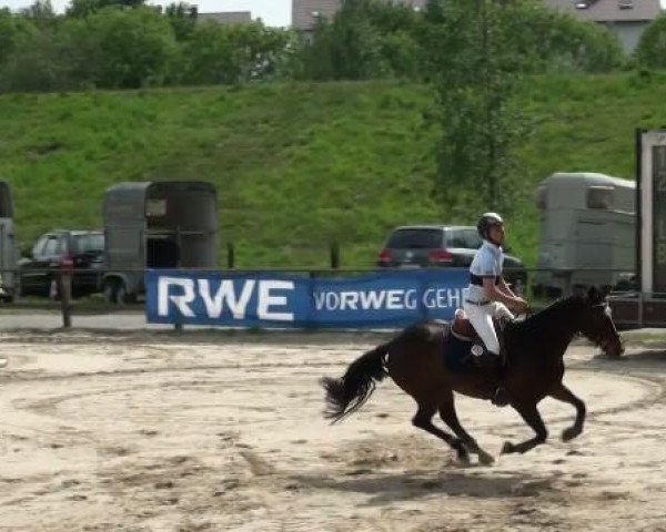 Dorsten 2011