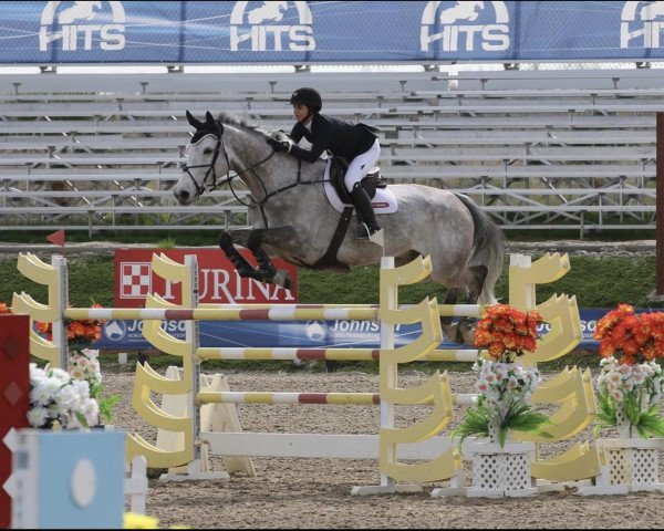 jumper Cro (Holsteiner, 2007, from Colman)