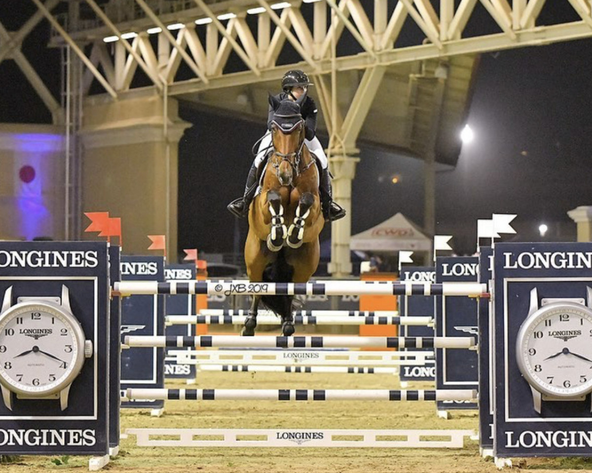 jumper Apex (anglo european sporthorse, 2004, from Grannex)