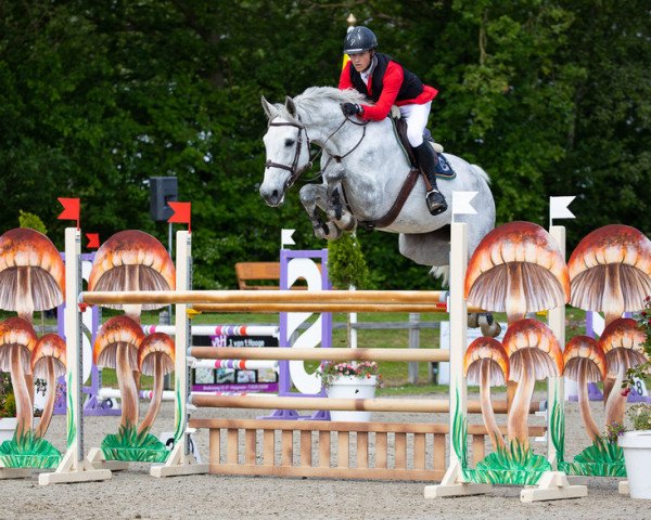jumper Coria Von Hof (Swiss Warmblood, 2013, from Coronino)