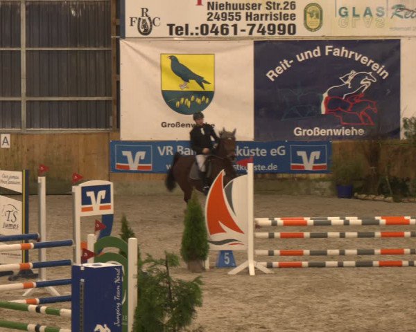 Reitturnier Großenwiehe 2024