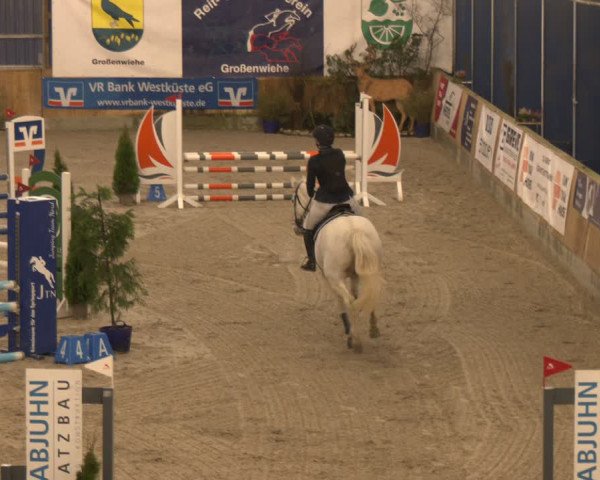 Reitturnier Großenwiehe 2024