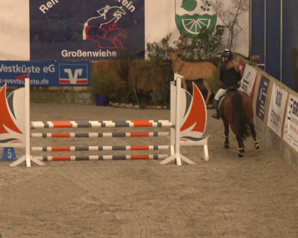 Reitturnier Großenwiehe 2024