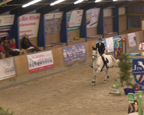 Reitturnier Großenwiehe 2024