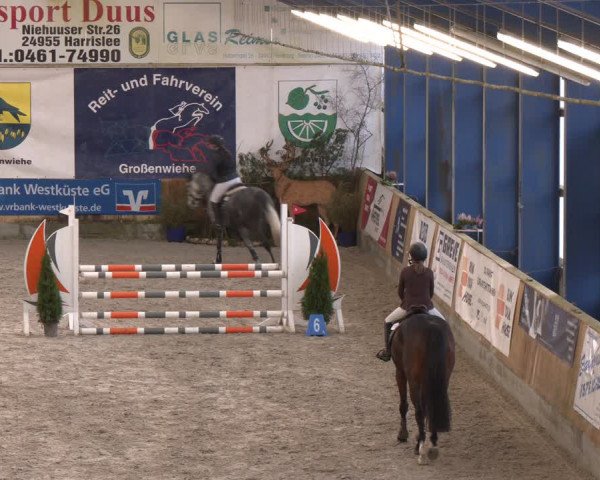 Reitturnier Großenwiehe 2024