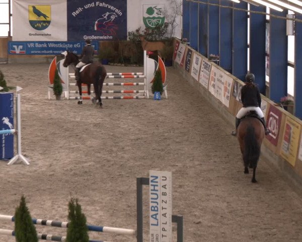 Reitturnier Großenwiehe 2024