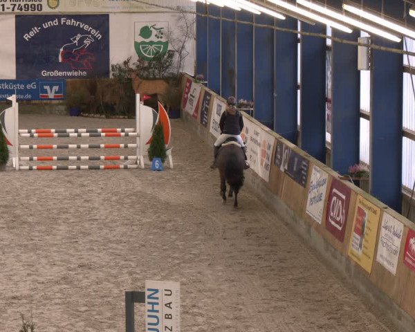 Reitturnier Großenwiehe 2024