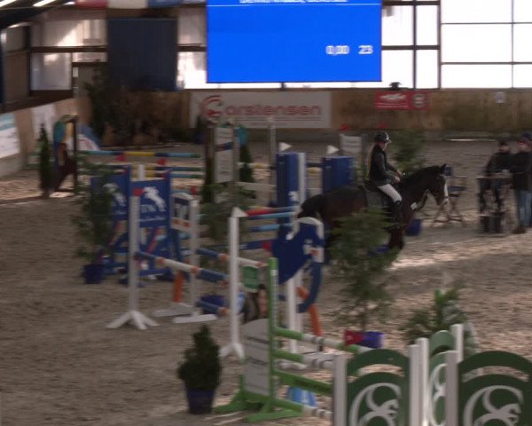 Reitturnier Großenwiehe 2024
