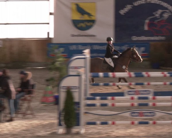 Reitturnier Großenwiehe 2024