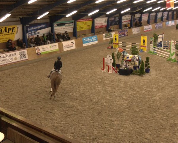 Reitturnier Großenwiehe 2024